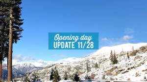 Opening Day Update!